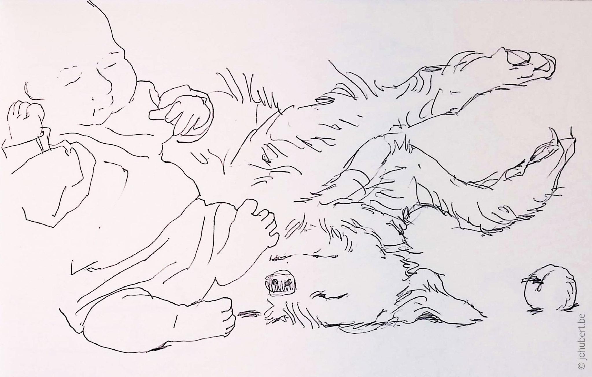 C-024-044--carnet--207--145--nb--figuratif--bic--croquis-animal.jpg
