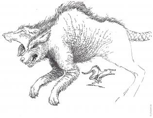 C-049-028--carnet--250--190--nb--figuratif--feutre--croquis-animal.jpg